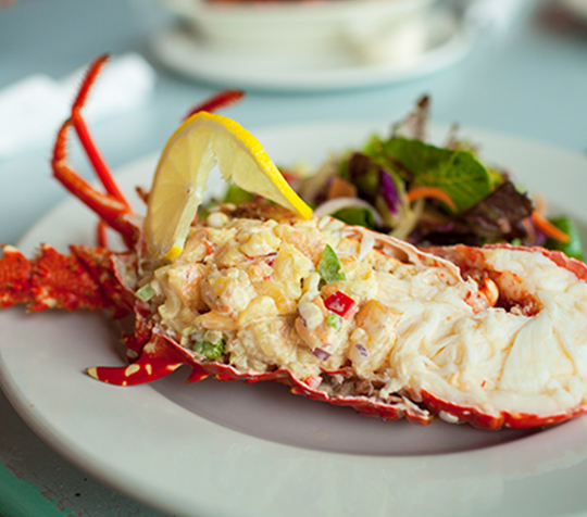 Yacht Serena gourmet chef special 2 wide