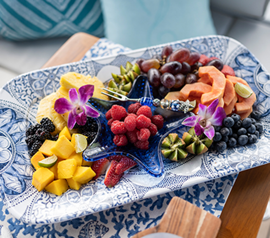 Yacht Serena gourmet chef template 14